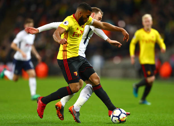 球迷们可以 球迷们可以